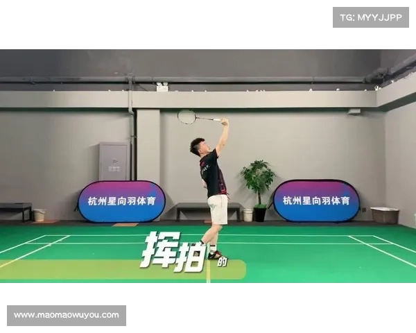 网球入门到进阶全程指导课程 助你掌握技术技巧提升竞技水平 网球入门到进阶全程指导课程 助你掌握技术技巧提升竞技水平